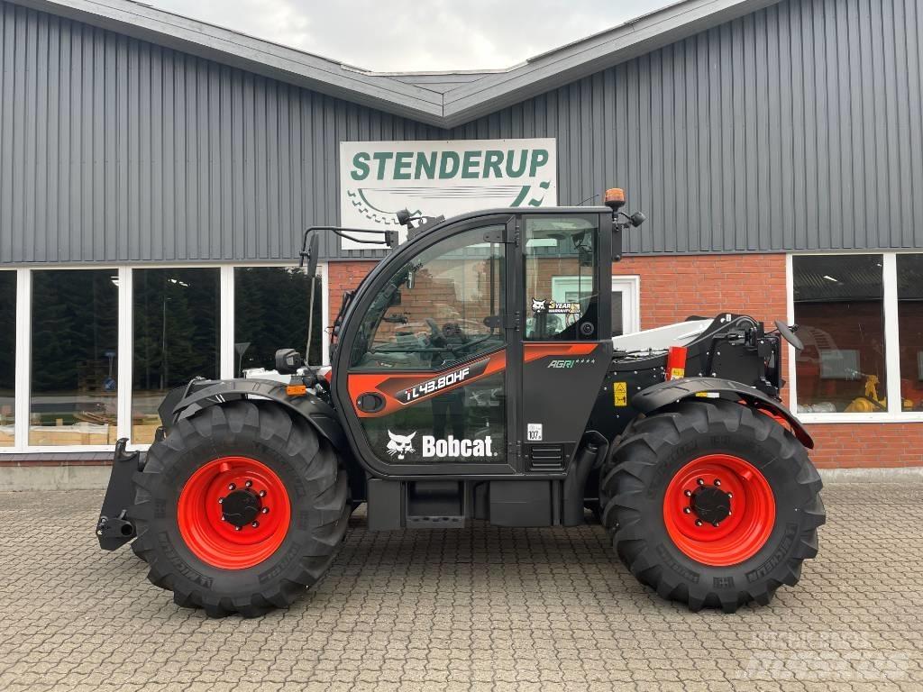 Bobcat TL 43.80 HF 텔러 핸들러