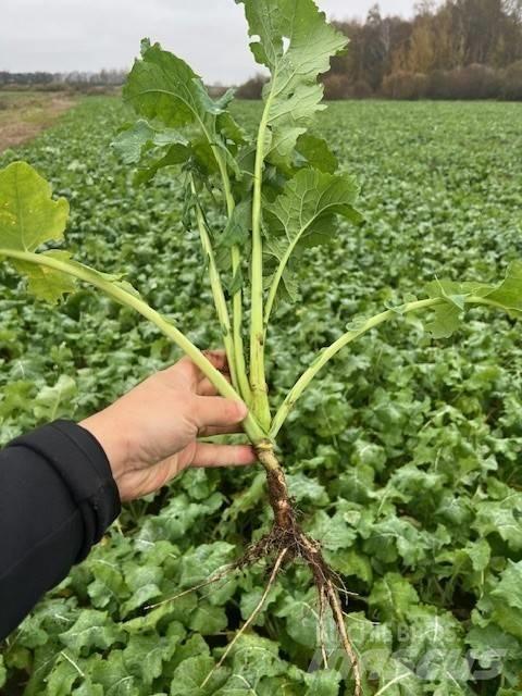 Väderstad Topdown500 경운기