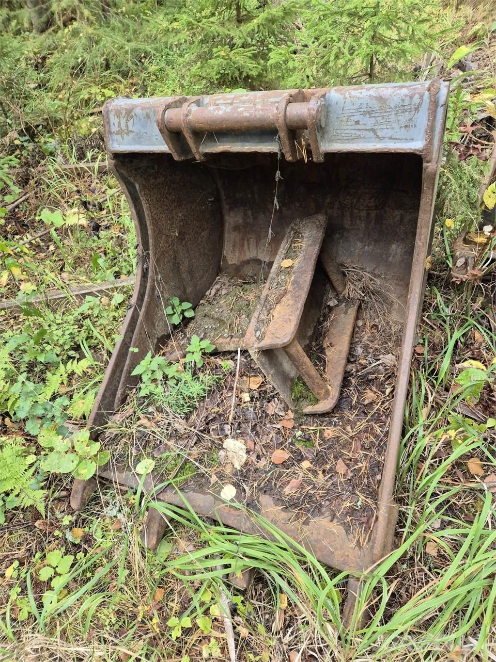 Lännen kynsikauha 버켓