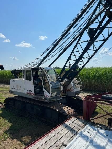 Terex HC 80 트랙 크레인