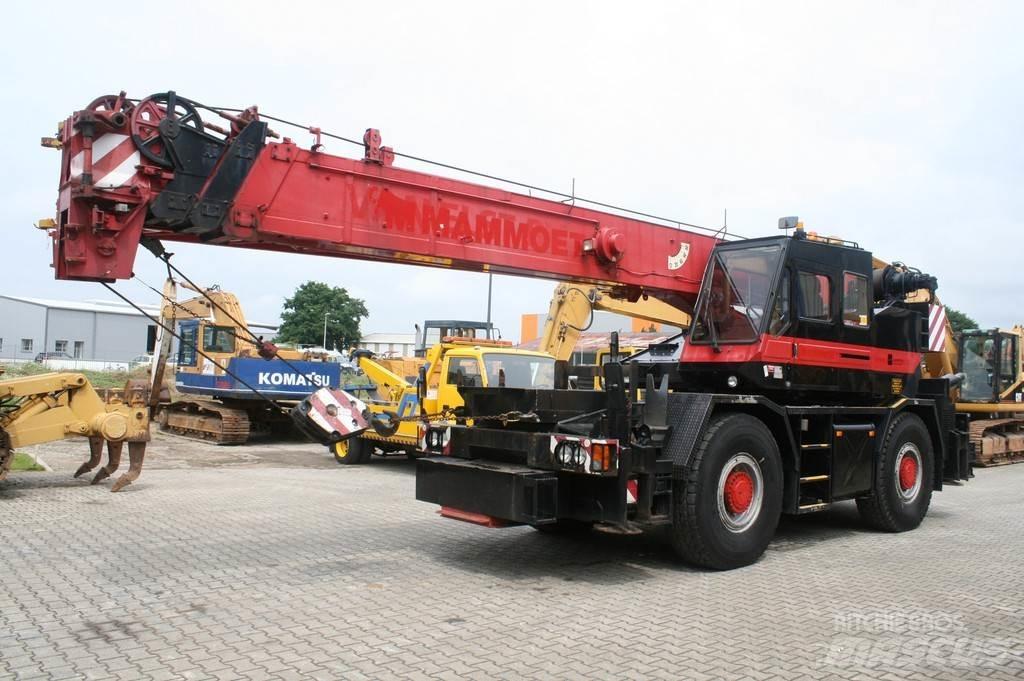 Tadano TR300EX NVT A/T 크레인