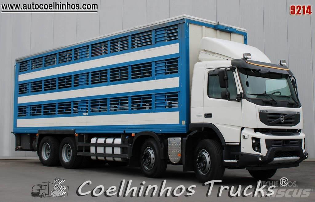 Volvo FMX 420 가축 운반용 트럭