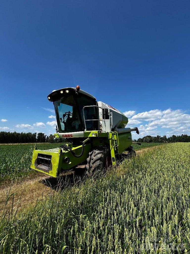 CLAAS Avero 240 콤바인 수확기
