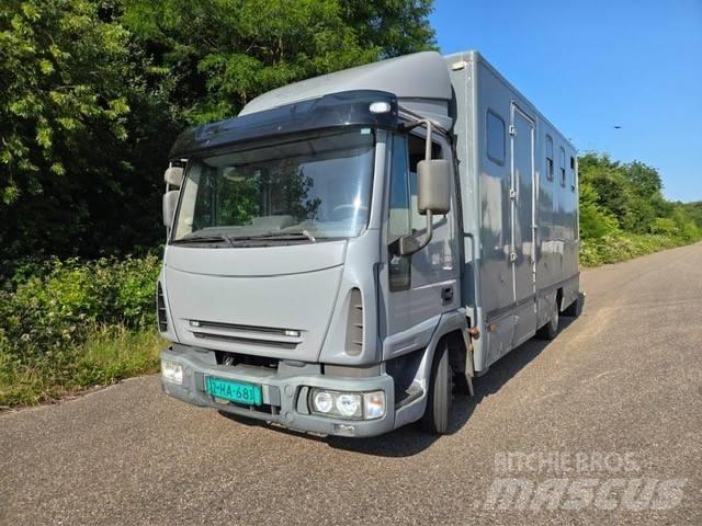 Iveco E 75 가축 운반용 트럭