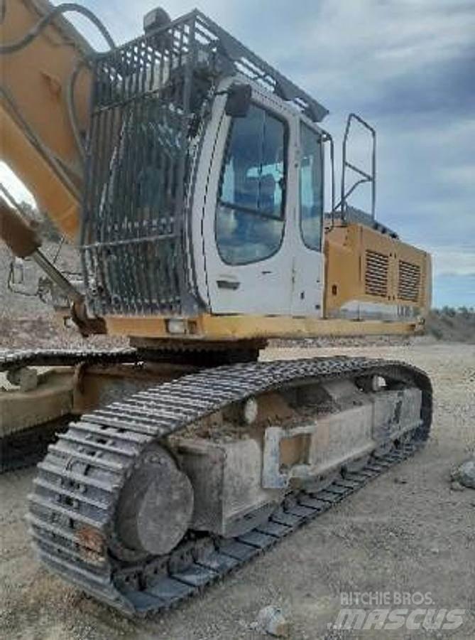 Liebherr R954 특수 굴삭기