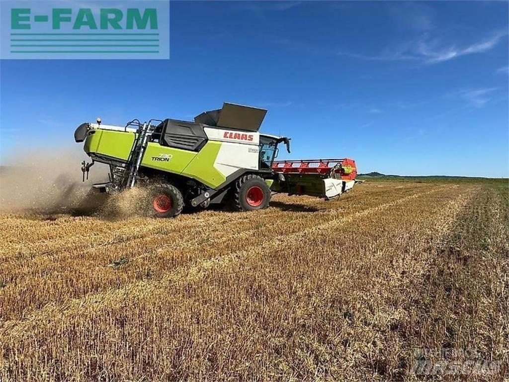 CLAAS trion 730 콤바인 수확기