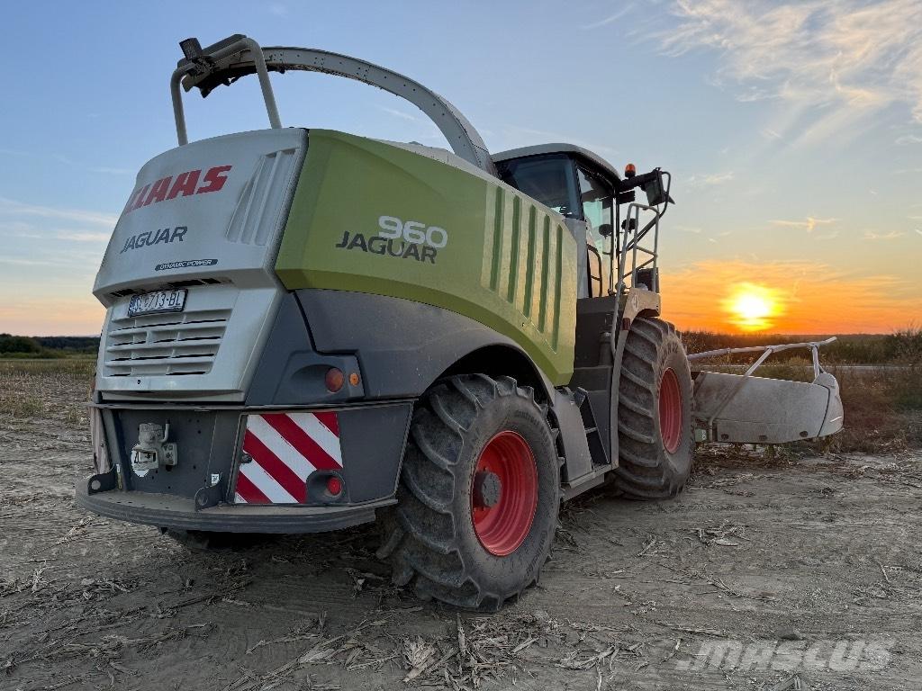 CLAAS Jaguar 960 4WD 목초 수확기