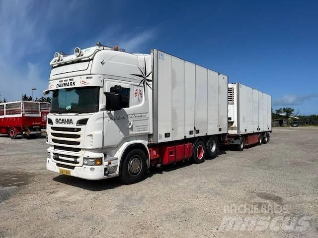 Scania R 730 온도 조절식 트럭
