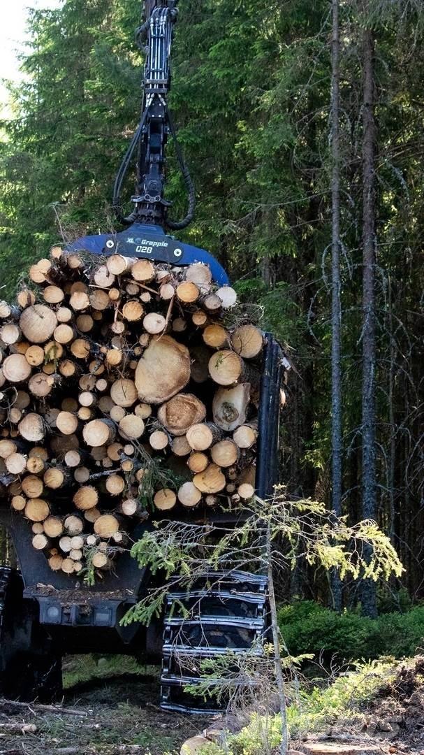  XL Grapple 028 STD 원목집게