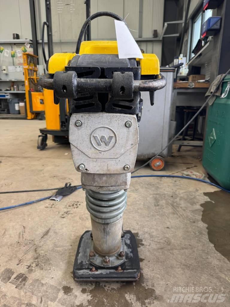 Wacker Neuson BS50-2 탬퍼