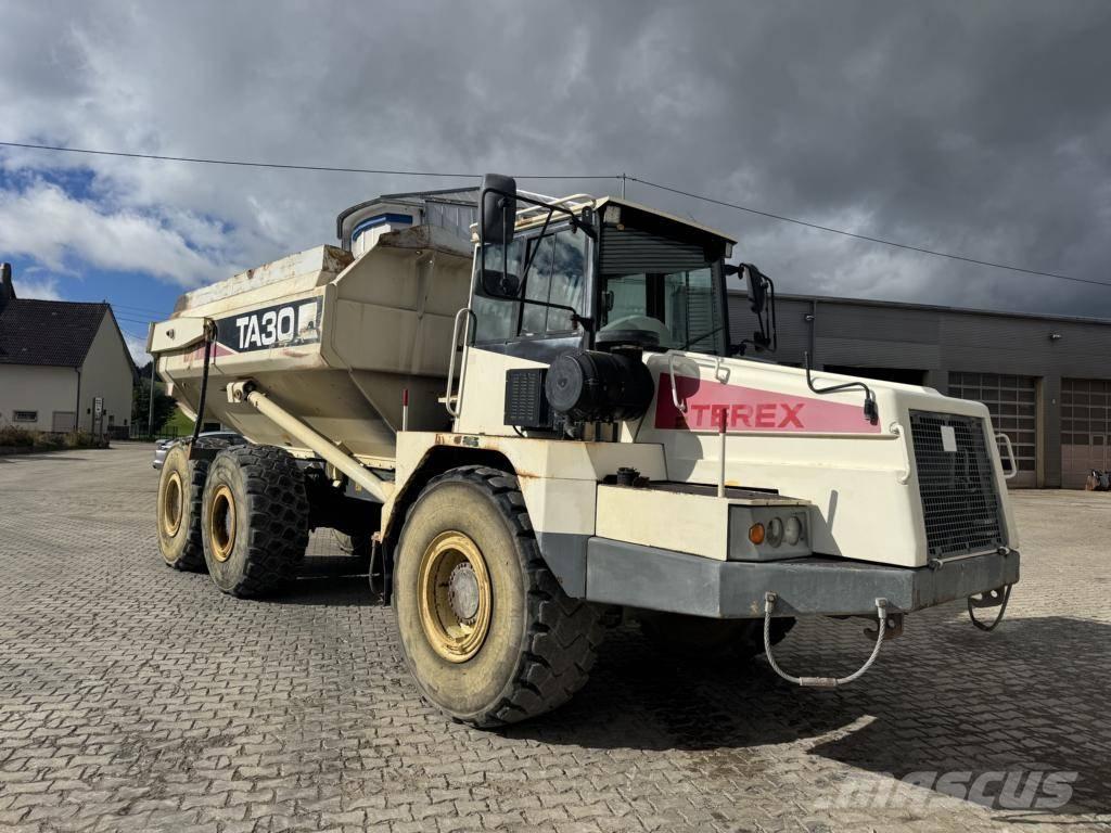 Terex TA 30 연결식 홀러