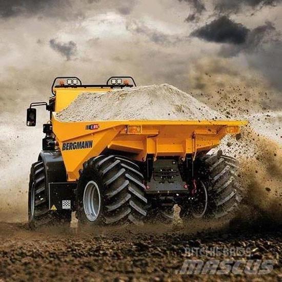 Bergmann C815S 연결식 홀러