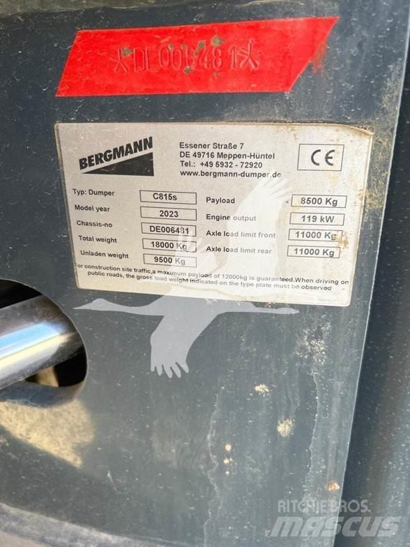 Bergmann C815S 연결식 홀러