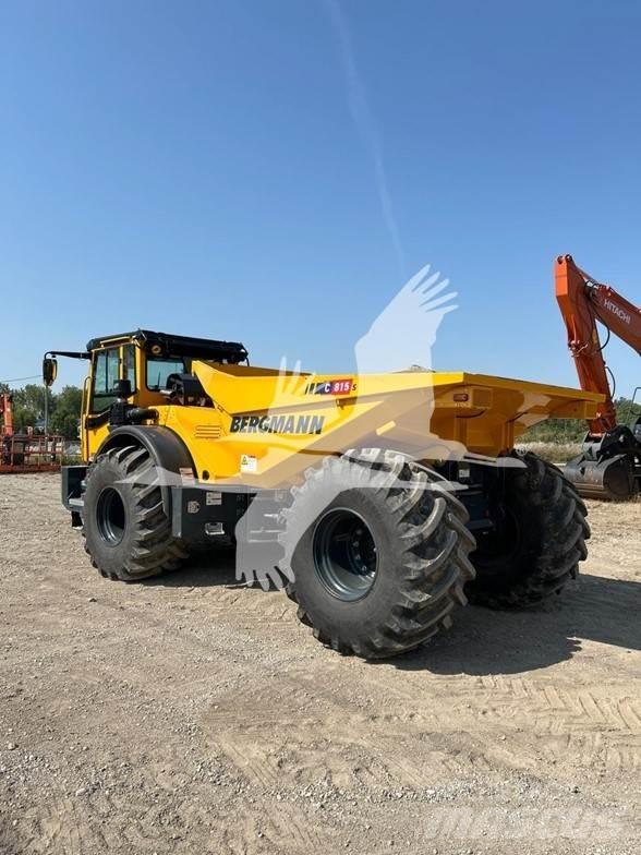 Bergmann C815S 연결식 홀러