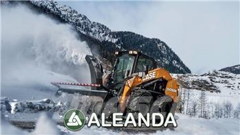 CASE SV 250 B  스키드로더