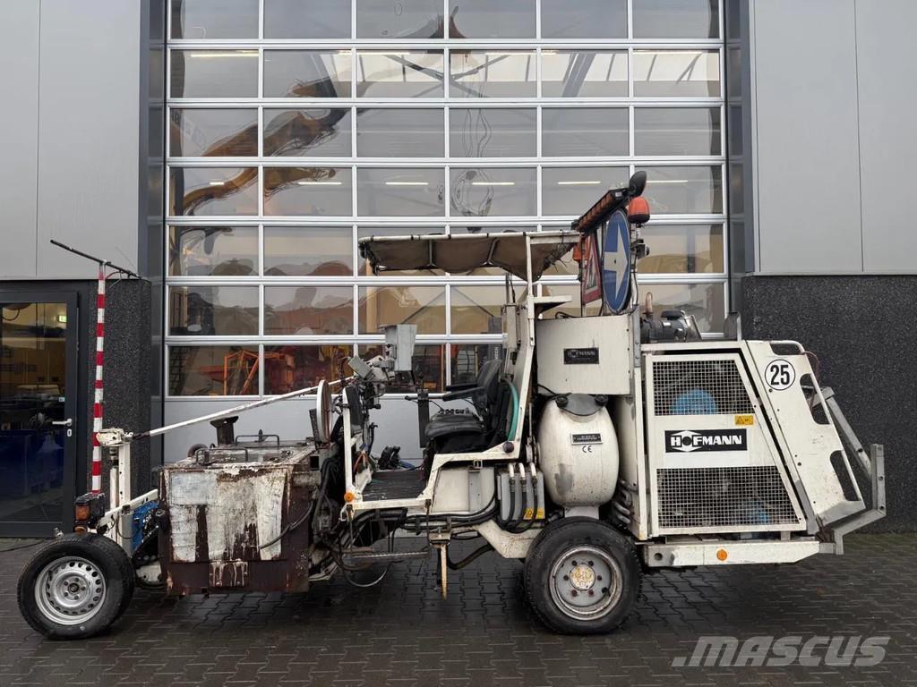 Hoffmann H33-2 기타