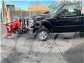 Ford F 350 플랫베드/드롭사이드 트럭