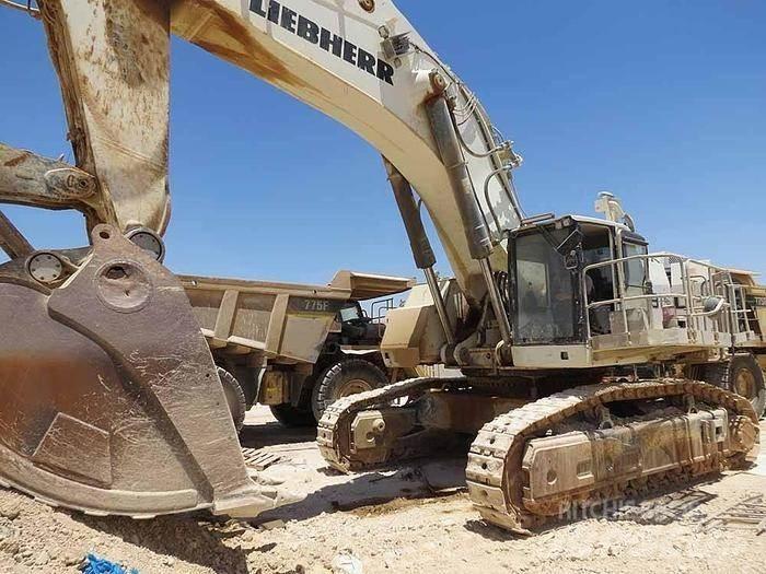 Liebherr R9150 특수 굴삭기