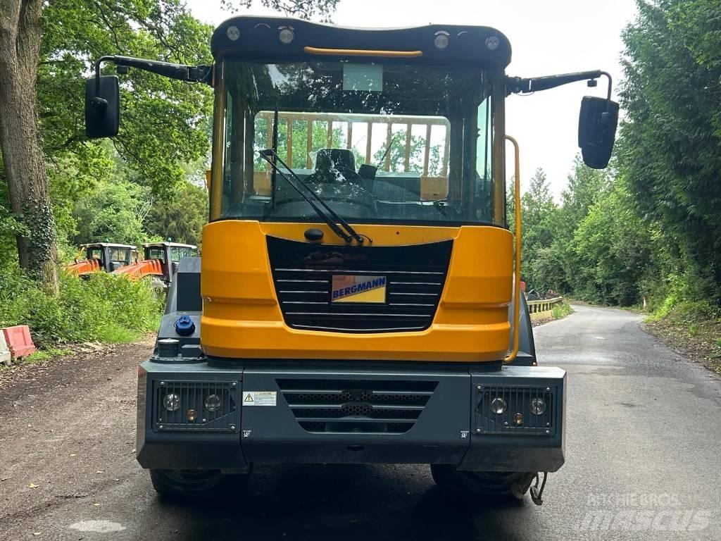 Bergmann C815S 연결식 홀러