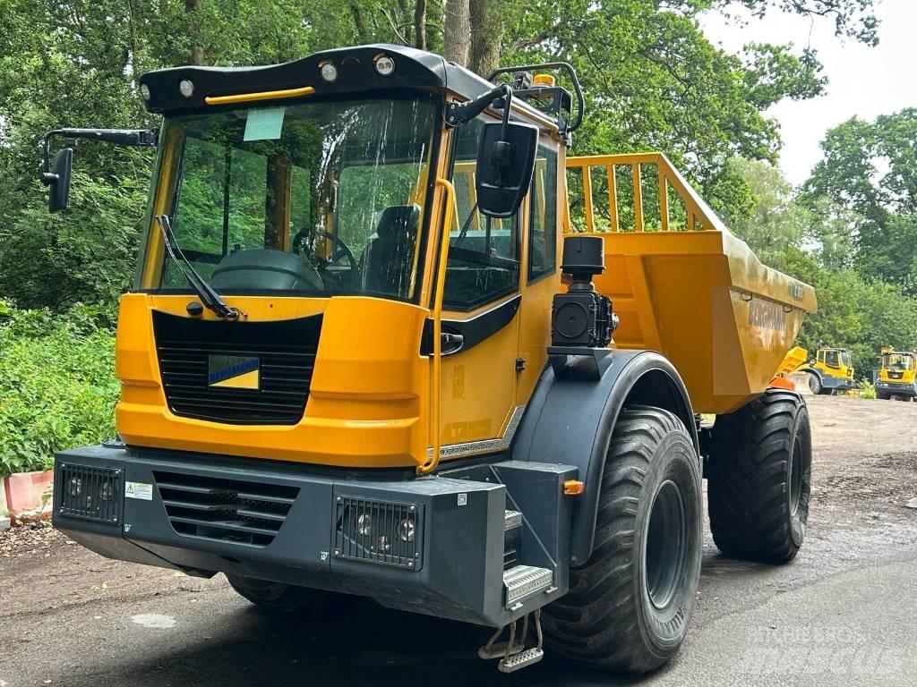 Bergmann C815S 연결식 홀러