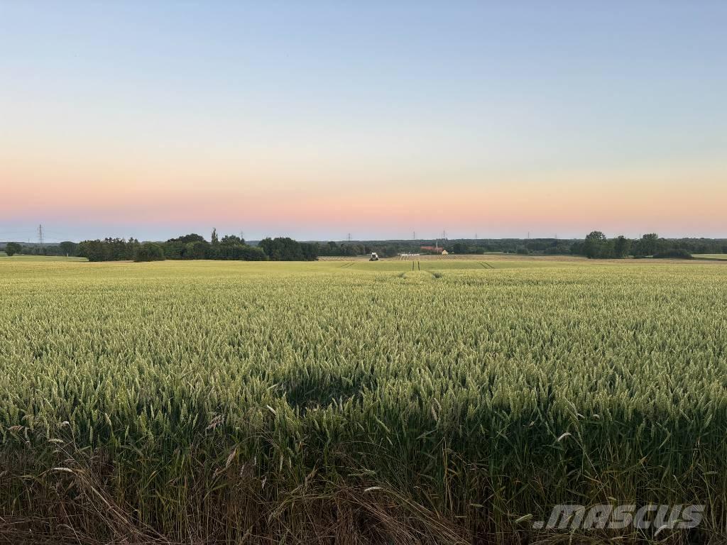 Case IH Maxxum 115 트랙터