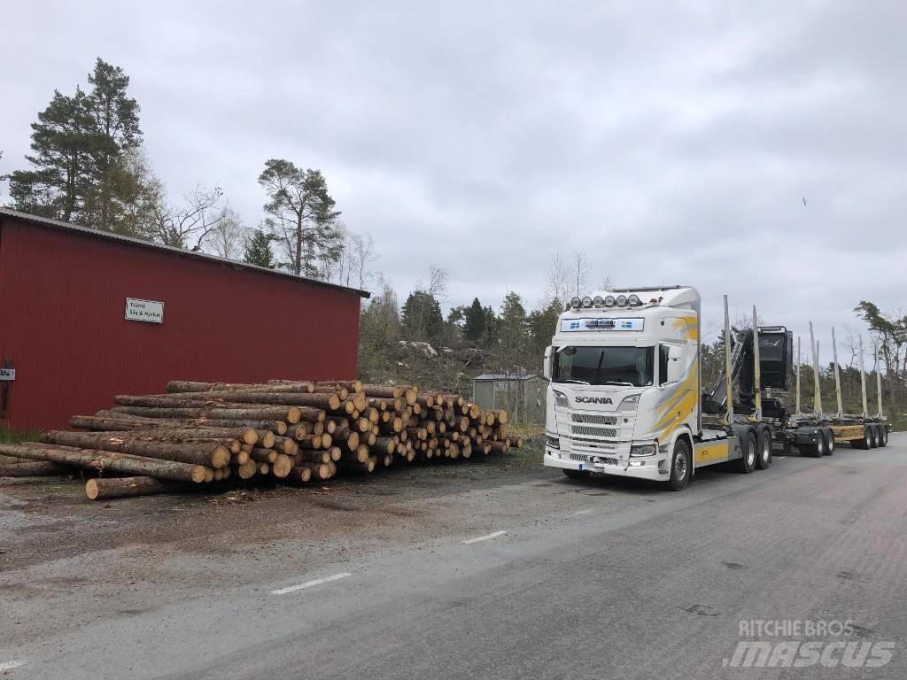 Scania R 650 목재 트럭