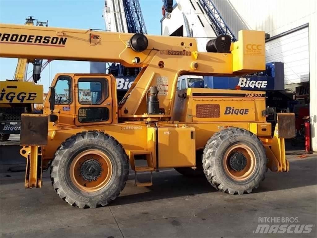 Broderson RT-300 R/T 크레인