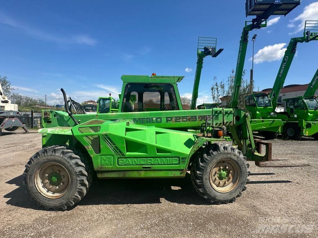 Merlo P 25.9 텔러 핸들러