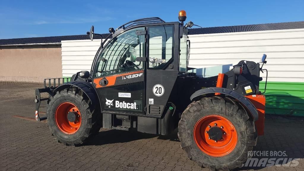 Bobcat TL 43.80 HF 텔러 핸들러