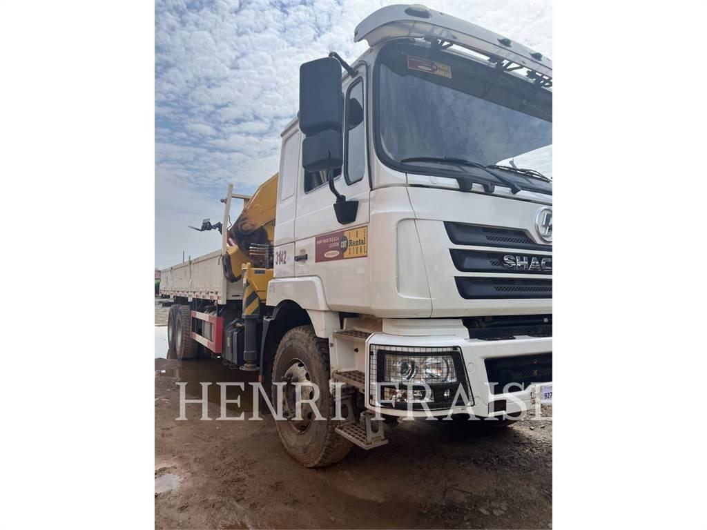 Shacman CAMION GRUE 12T A/T 크레인