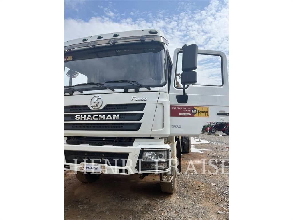 Shacman CAMION GRUE 12T A/T 크레인