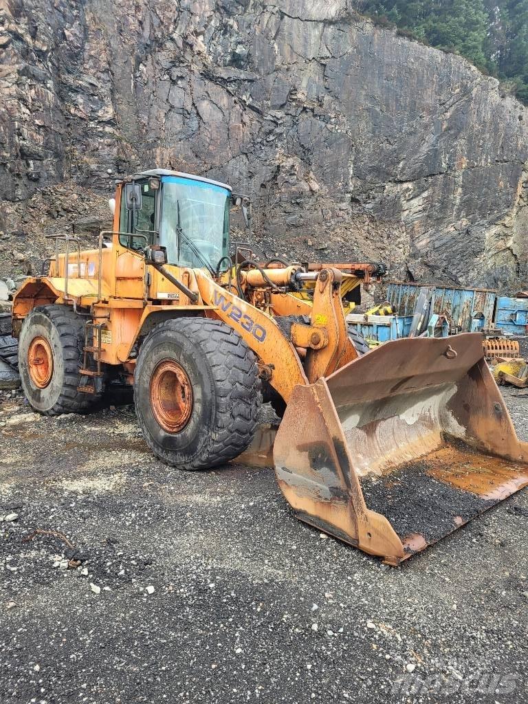 Fiat-Hitachi w230  휠로우더