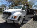Ford F 650 플랫베드/드롭사이드 트럭