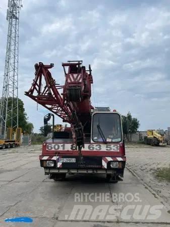 Liebherr LTM 1030 A/T 크레인