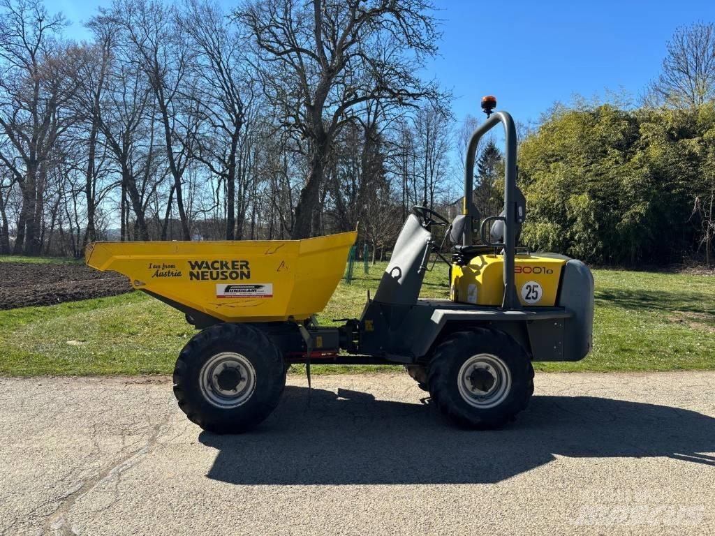 Wacker Neuson 3001 건설현장 덤프트럭