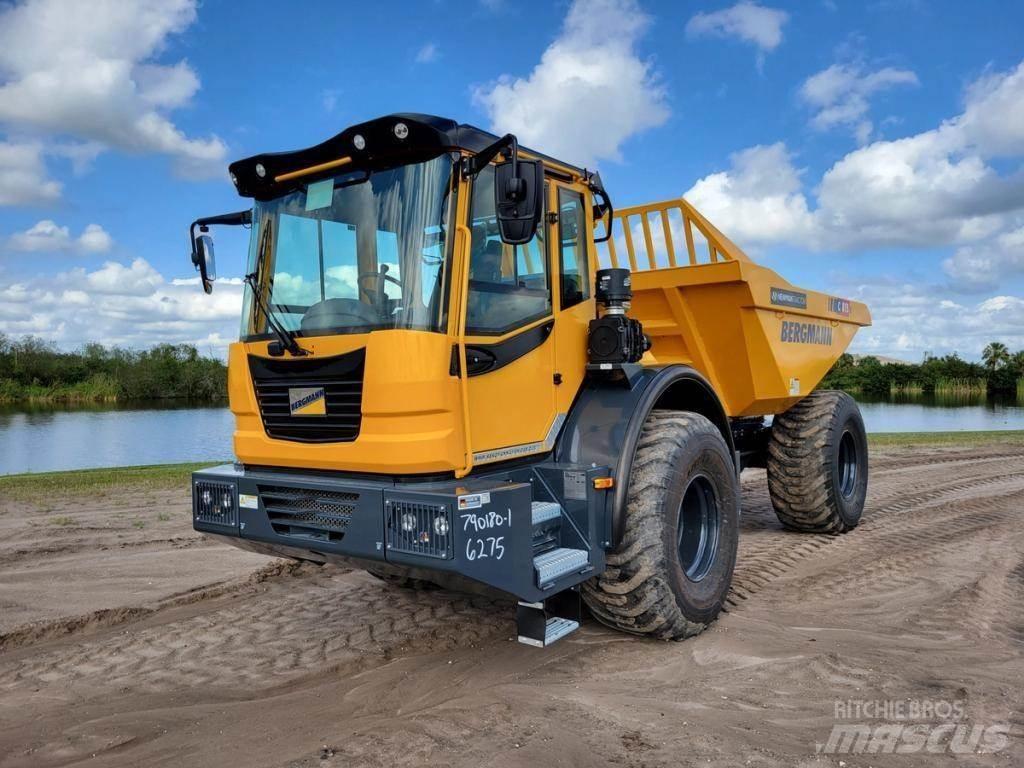 Bergmann C815S 연결식 홀러