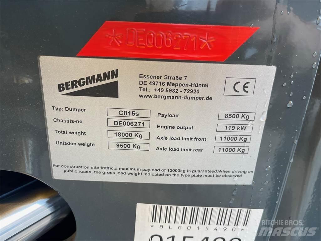 Bergmann C815S 연결식 홀러
