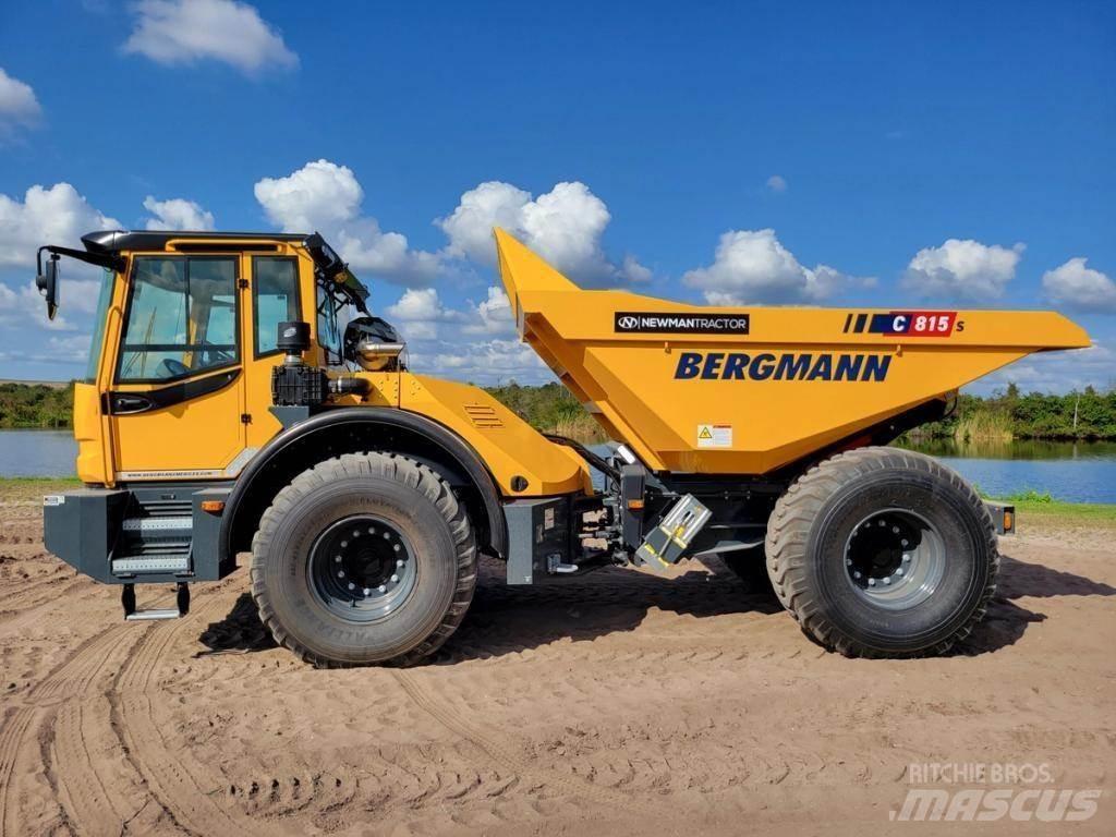 Bergmann C815S 연결식 홀러
