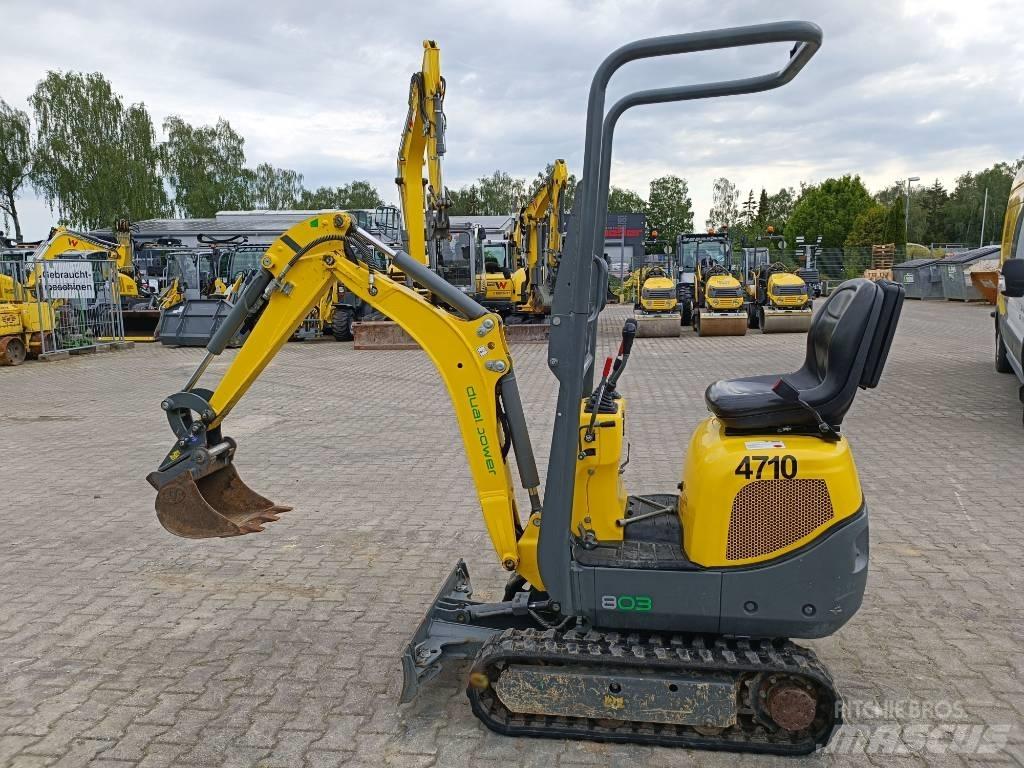 Wacker Neuson 803 대형 굴삭기 29톤 이상