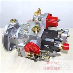 Cummins 4951451-20 엔진