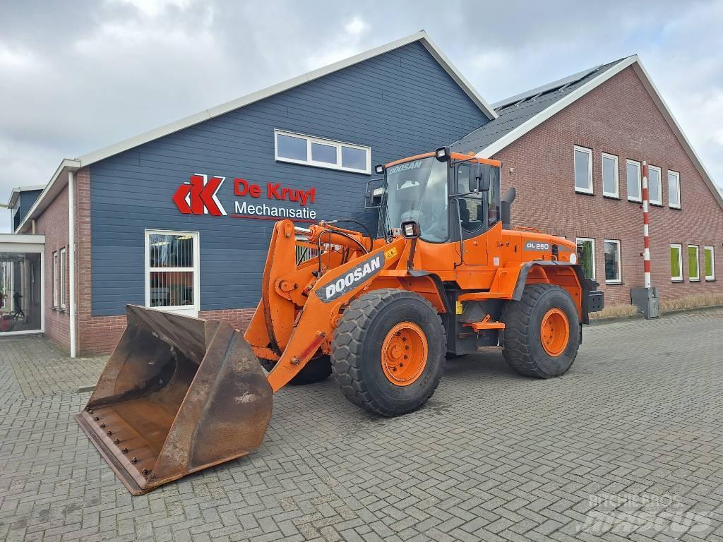Doosan DL250  휠로우더