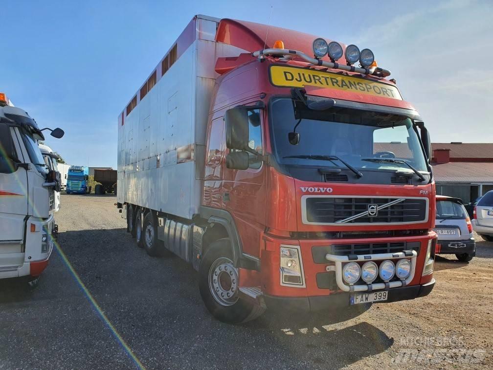 Volvo FM12 가축 운반용 트럭