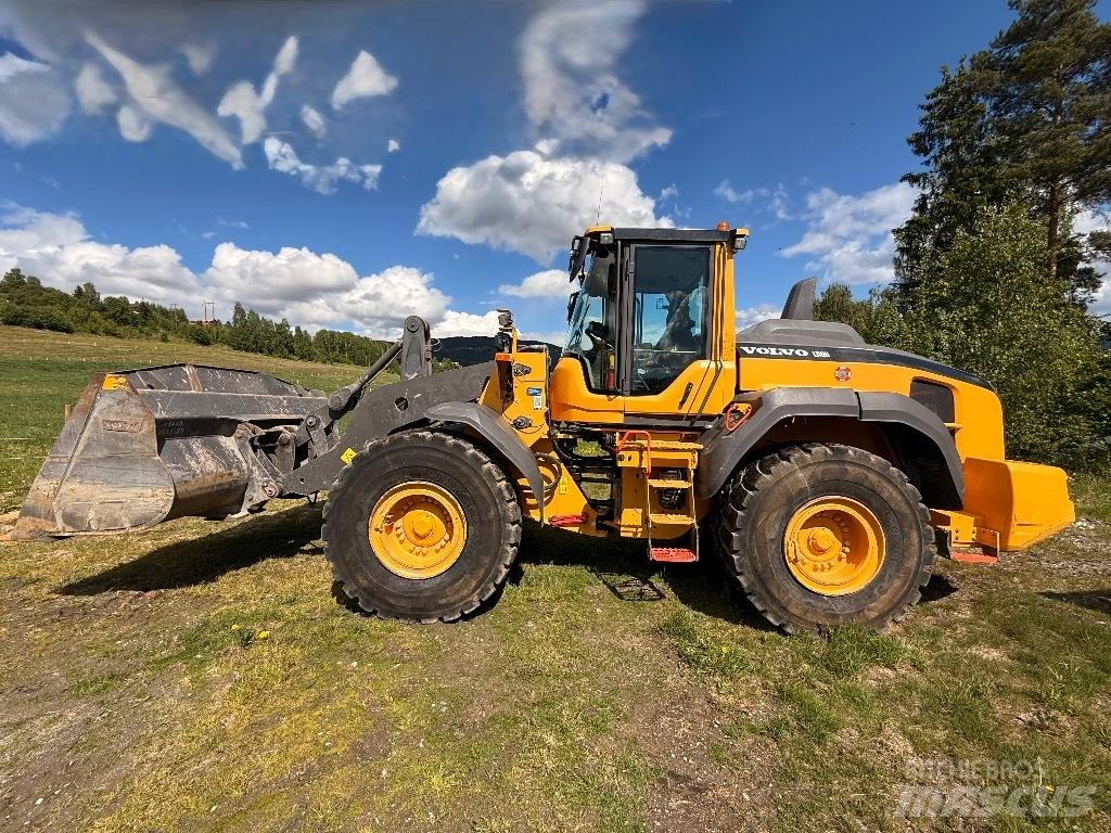 Volvo L 110 H  휠로우더
