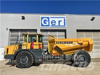 Bergmann 5025 연결식 홀러