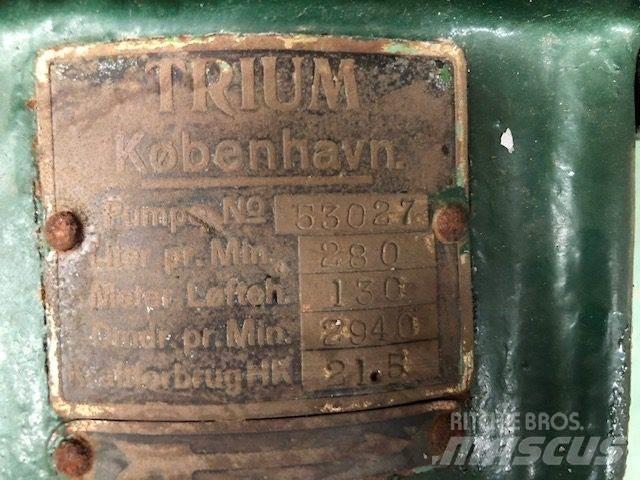  TRIUM QZKS Vandpumpe 폐기물 펌프