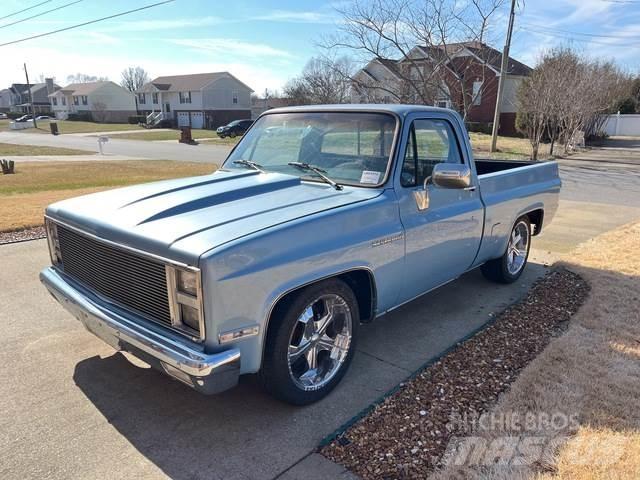 Chevrolet C10 기타