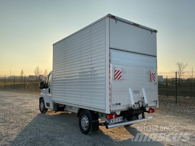 Fiat Ducato 패널 화물차
