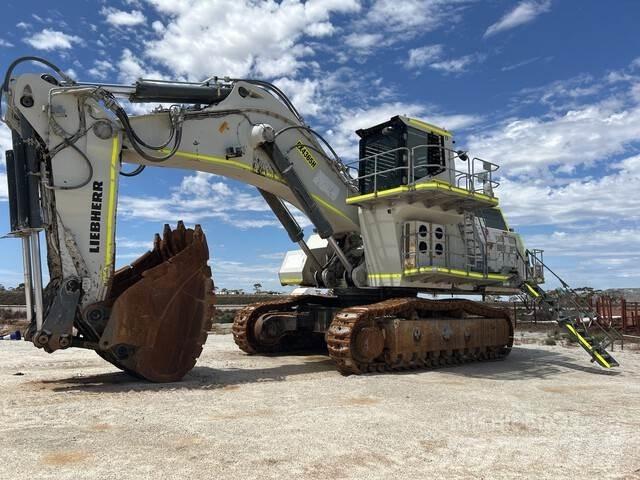 Liebherr 9200 대형 굴삭기 29톤 이상