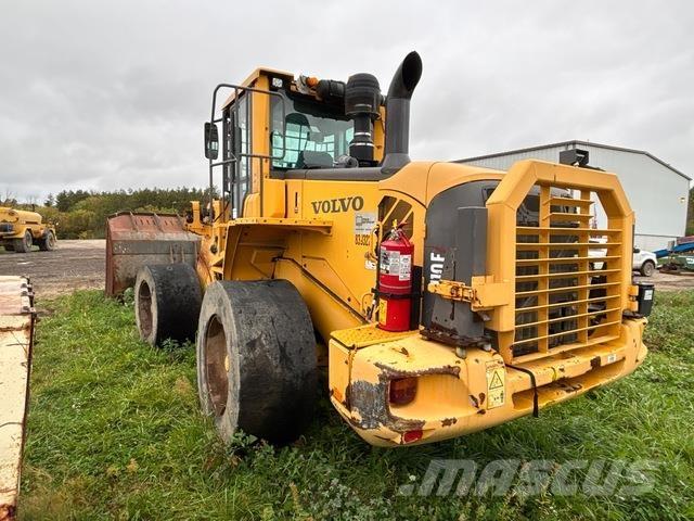 Volvo L110F  휠로우더