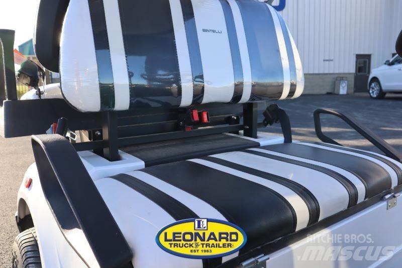  BINTELLI LSV4P 골프 카트